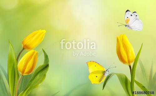 Spring floral template background. A beautiful bouquet of yellow, Premium Kollekció