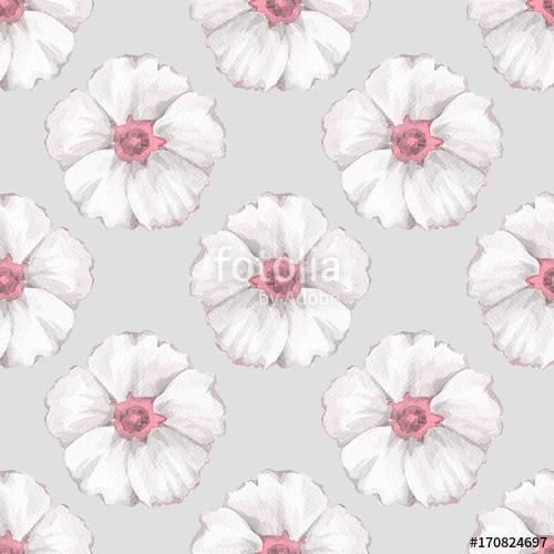 Floral seamless pattern. Watercolor background with white flower, Premium Kollekció