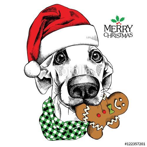 Karácsonyi kutya keksszel, Partner Kollekció Karácsonyi kutya keksszel, Partner Kollekció