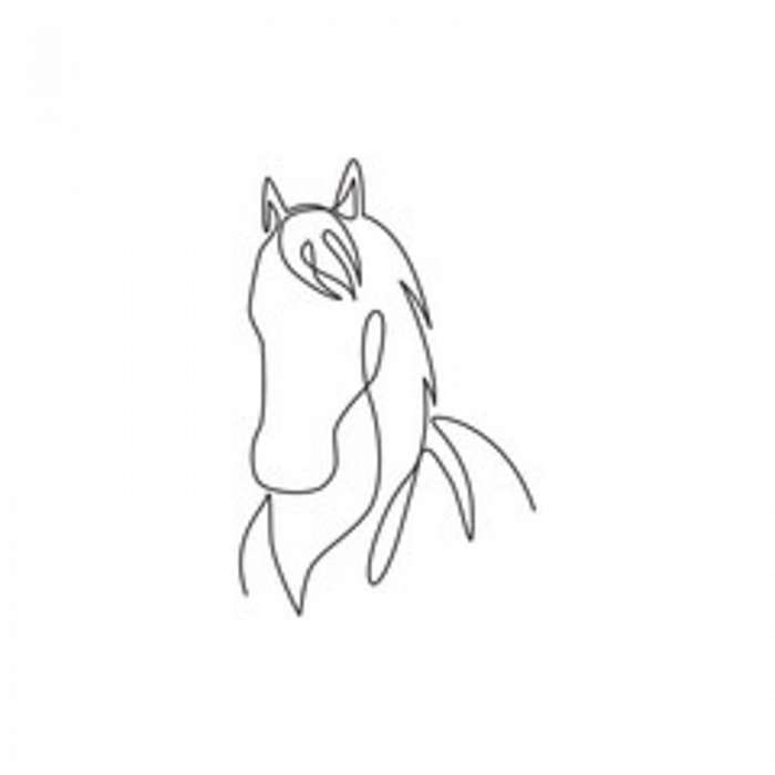 Jólfésült ló portréja (egyvonalas rajz, line art), Partner Kollekció
