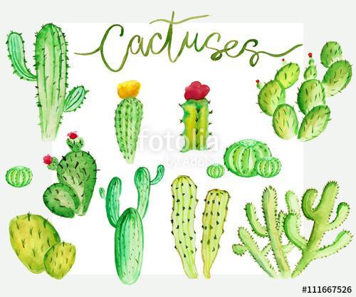 Watercolor cactus set, Premium Kollekció