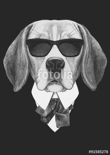 Portrait of Beagle dog in suit. Hand drawn illustration., Premium Kollekció