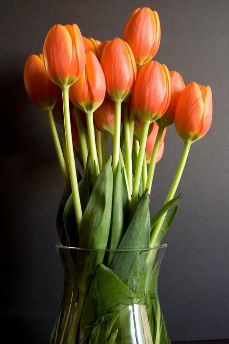 Tulipánok vázában, 