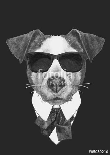 Hand drawn fashion Illustration of Jack Russell. Vector isolated, Premium Kollekció