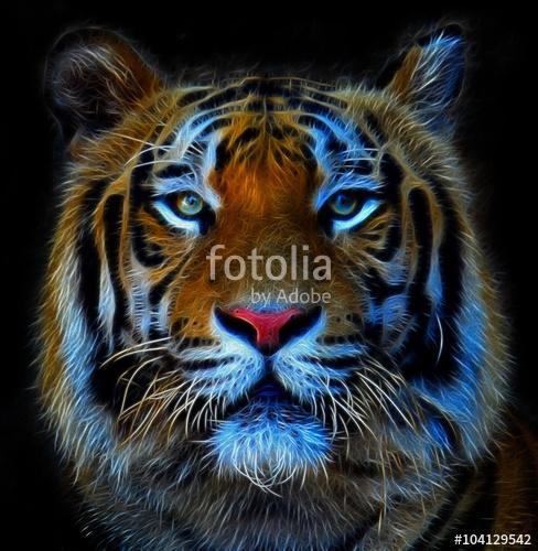 Digitális illusztráció egy bengáli tigrisről, Premium Kollekció