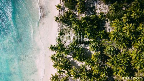 Left ocean and right palms. Middle beach, Premium Kollekció