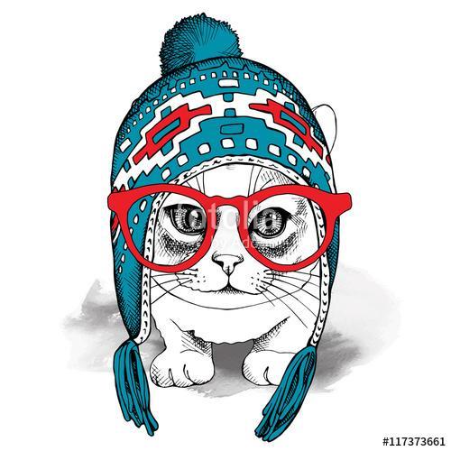 Portrait of a cat in blue winter hat with ear flaps and glasses., Premium Kollekció