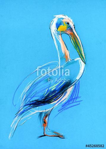 Sketch of a pelican, Premium Kollekció