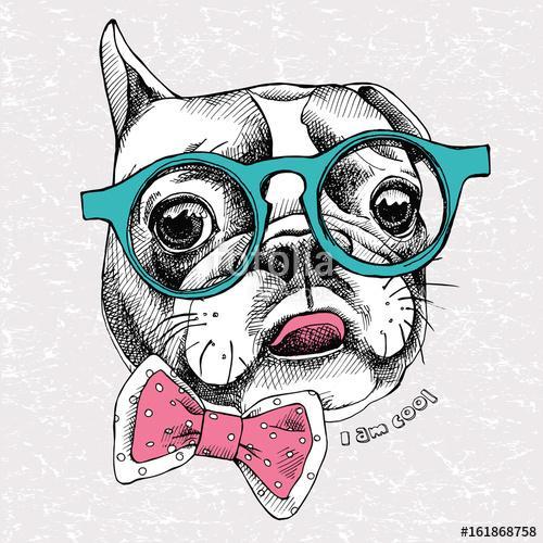 Portrait of a French Bulldog with glasses and tie. Vector illust, Premium Kollekció