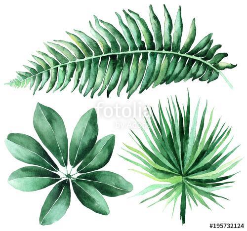 Tropical watercolor leaves set., Premium Kollekció