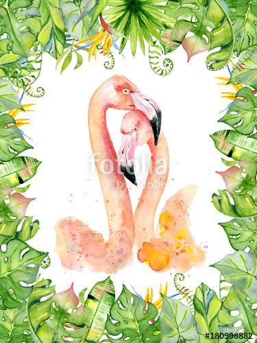 Pink flamingo watercolor hand drawn illustration in arrangement , Premium Kollekció