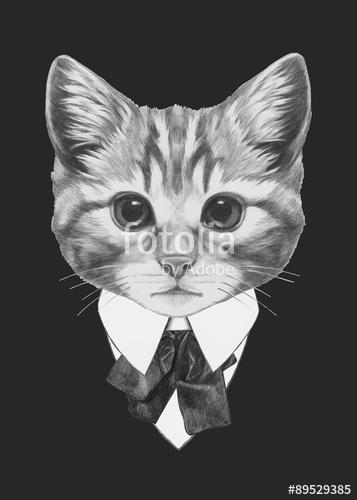 Hand drawn fashion Illustration of Cat with sunglasses. Vector i, Premium Kollekció