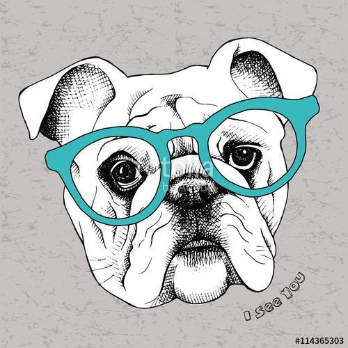 Image the portrait of a bulldog in the glasses. Vector illustrat, Premium Kollekció