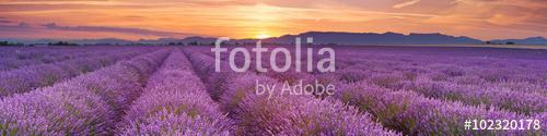 Napkelte a levendula mezei a Provence-ban, Franciaországban, Premium Kollekció