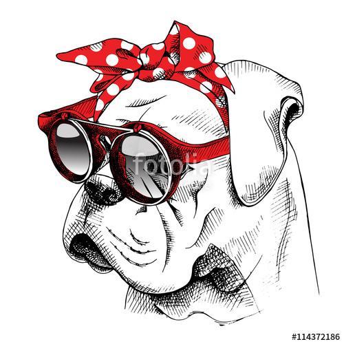 The image of the portrait Bulldog dog in the headband and with t, Premium Kollekció