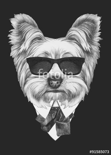 Portrait of Yorkshire Terrier dog in suit. Hand drawn illustrati, Premium Kollekció