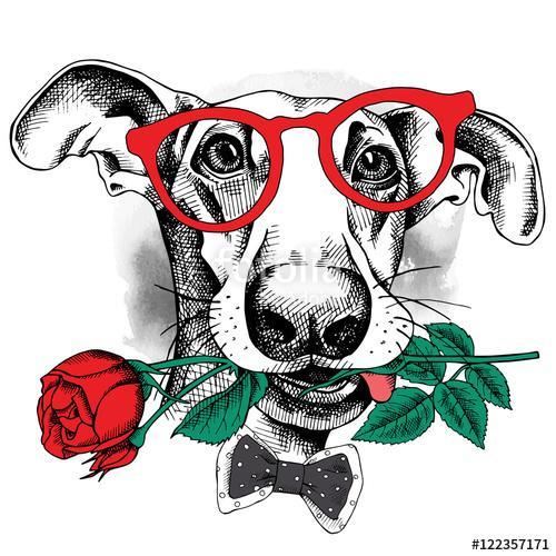 Portrait of a funny dog in glasses and tie with red rose. Vector, Premium Kollekció