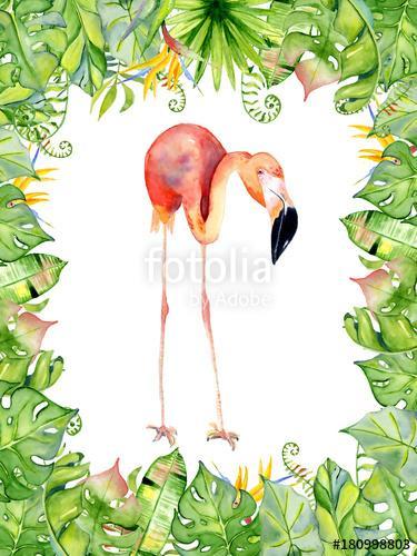 Pink flamingo watercolor hand drawn illustration in arrangement , Premium Kollekció