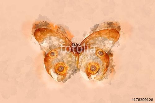 Watercolor butterfly. , Premium Kollekció