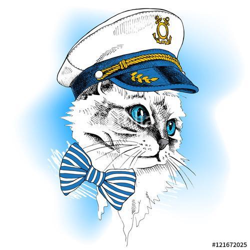 Portrait cat in a sailor's cap and tie on blue background. Vecto, Premium Kollekció