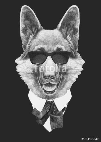 Portrait of German Shepherd in suit. Hand drawn illustration., Premium Kollekció