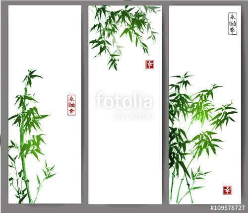 Három banner, zöld bambusz fákkal. Vektoros illusztráció. Trad, Premium Kollekció