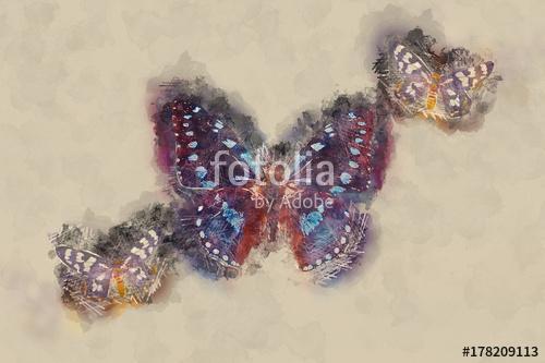 Watercolor Butterfly., Premium Kollekció