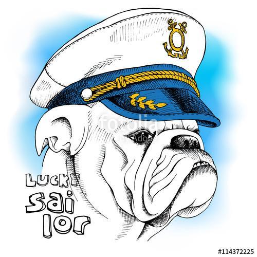 Image of portrait a dog bulldog in a sailor's cap. Vector illust, Premium Kollekció