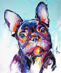Francia bulldog portré, Premium Kollekció