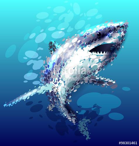 vektoros illusztráció egy cápa, Premium Kollekció