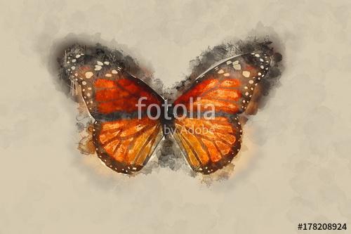Watercolor Butterfly., Premium Kollekció