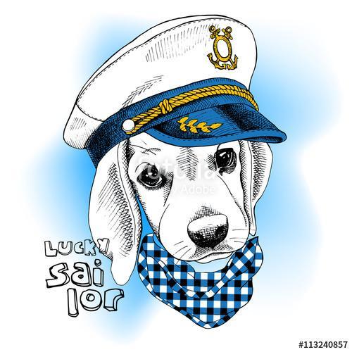 Image Portrait dog in a sailor's cap and in a cravat. Vector ill, Premium Kollekció