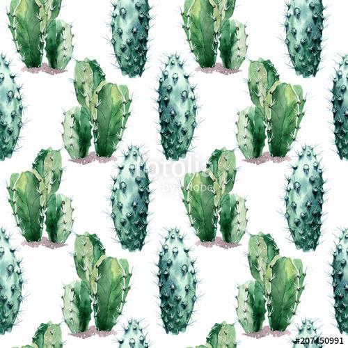 Watercolor seamless pattern with cactus., Premium Kollekció