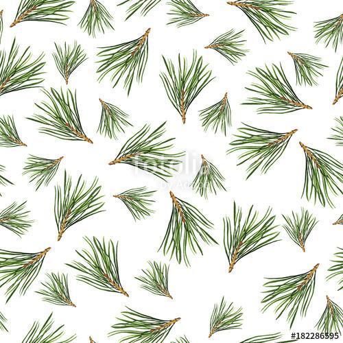 Seamless pattern with pine tree branches on white background. Ha, Premium Kollekció