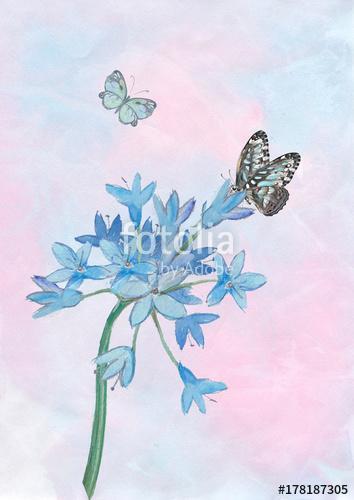 Watercolor Butterflies with a bunch on blue flowers., Premium Kollekció