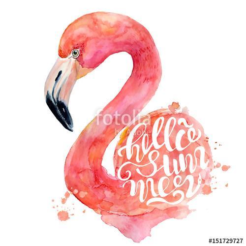 Watercolor pink flamingo hand painted illustration, Premium Kollekció