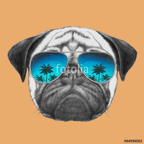 Hand drawn portrait of Pug Dog with mirror sunglasses. Vector is, Premium Kollekció