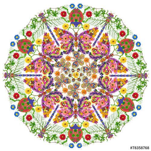 Insects mandala, Premium Kollekció