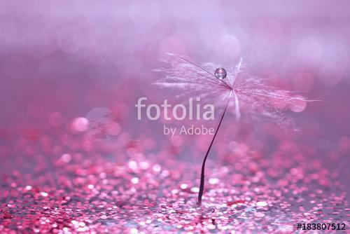 A dandelion seed with a drop of water is in sparkling sparkles. , Premium Kollekció