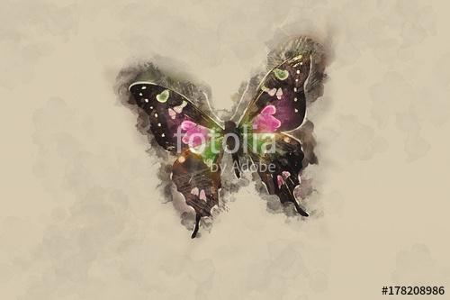 Watercolor Butterfly., Premium Kollekció