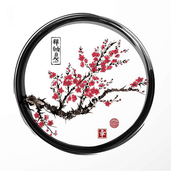 Keleti sakura cseresznyefa virágzó fekete enso zen körben , Premium Kollekció