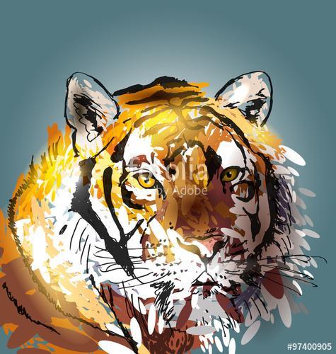 Színes vektoros illusztráció fej tigris, Premium Kollekció