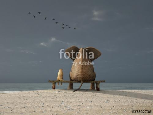 elefánt és kutya ül egy parton, Premium Kollekció