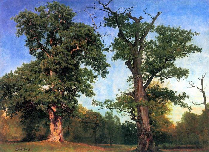 Az erdők úttörői, Albert Bierstadt