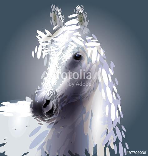 vektoros illusztrációja egy ló fejét, Premium Kollekció