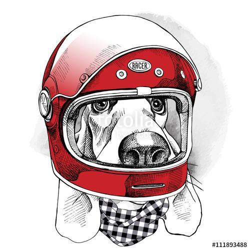 The image of the dog Racer in the modern helmet. Vector illustra, Premium Kollekció