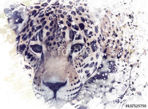 Leopard Portrait Watercolor, Premium Kollekció