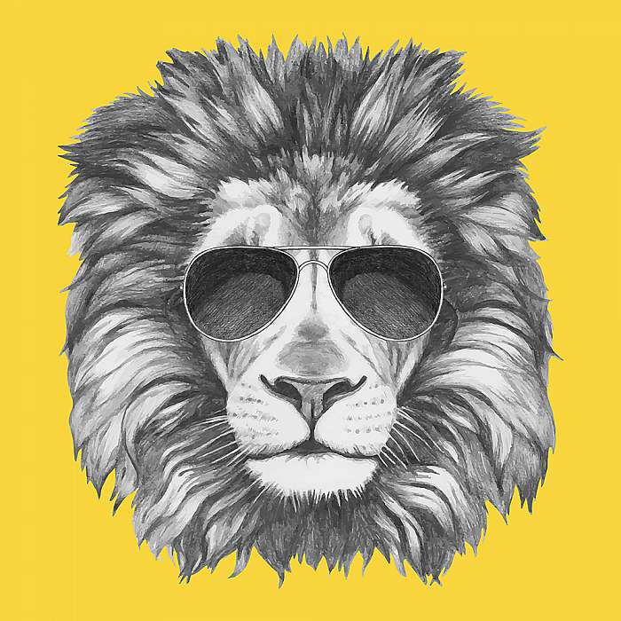 Hand drawn portrait of Lion with sunglasses. Vector isolated ele, Premium Kollekció