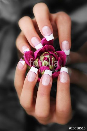 naildesign, Premium Kollekció