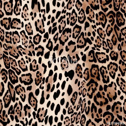 Natural Leo print - animal seamless background, Premium Kollekció